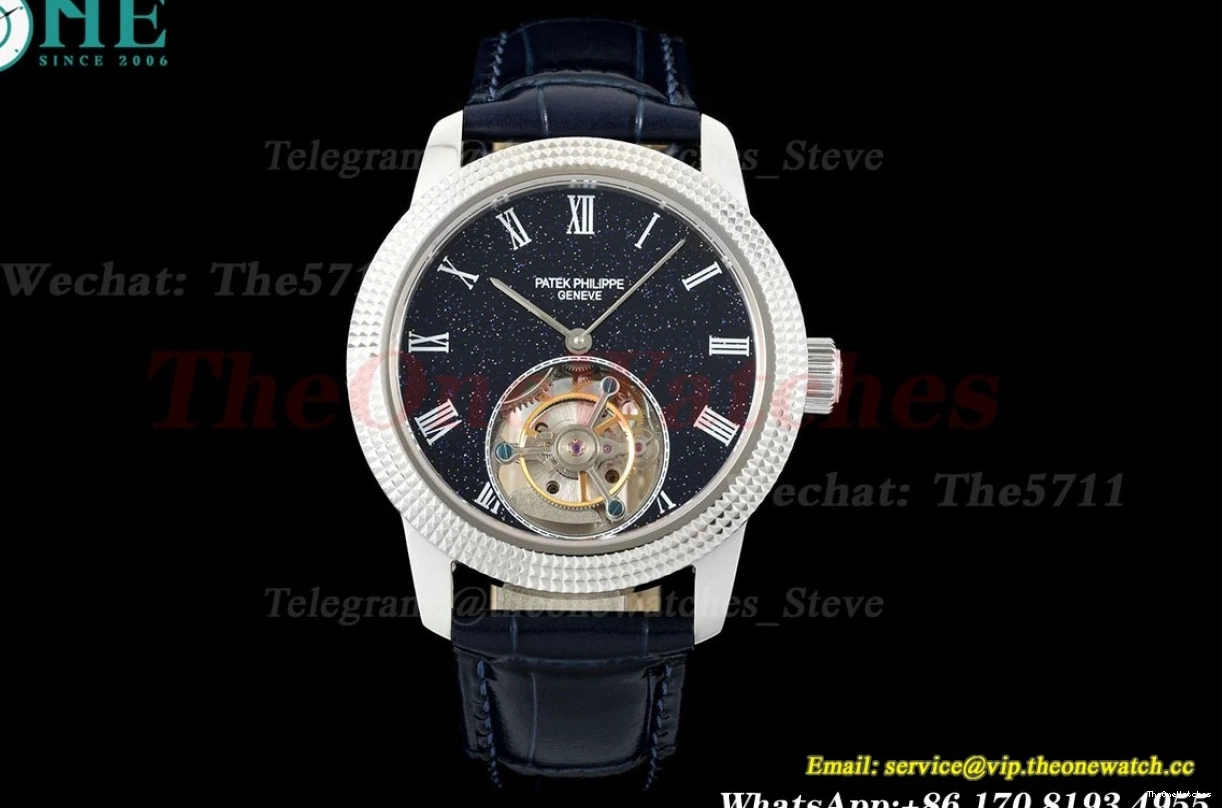 Sky Dial 42mm SS Complications Tourb RMSF LE Starry 0420